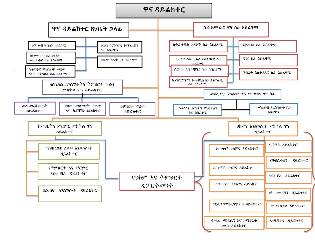 organizational structure